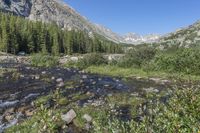 Off-Road Driving Through Colorado Mountain Landscape