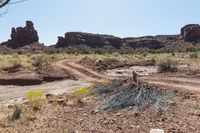 a dirt road in a desert with some bushes on both sides of it, some large rocks and a small dry bush