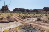 a dirt road in a desert with some bushes on both sides of it, some large rocks and a small dry bush