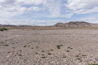 the vast area with rocks and plants on both sides of it is not covered by many people