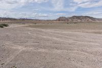 the vast area with rocks and plants on both sides of it is not covered by many people