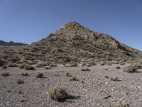 Off-Road Adventure: Exploring Nature in Tenerife