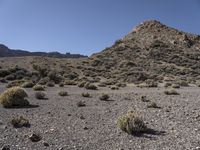 Off-Road Adventure: Exploring Nature in Tenerife