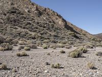 Off-Road Adventure: Exploring Nature in Tenerife