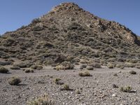 Off-Road Adventure: Exploring Nature in Tenerife