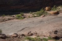 a man riding a horse in the desert by a river and rock face in background