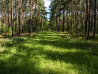 Off-Road Landscape in Berlin and Brandenburg