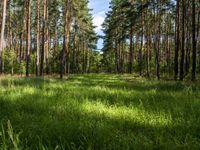 Off-Road Landscape in Berlin and Brandenburg