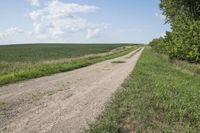 Off-Road Landscape in Iowa, USA