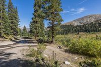 Off Road Landscape: Mountain View