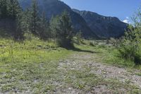 a dirt trail with green trees in the background and mountains in the background in the distance