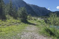 a dirt trail with green trees in the background and mountains in the background in the distance