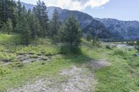 a dirt trail with green trees in the background and mountains in the background in the distance