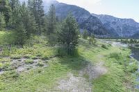 a dirt trail with green trees in the background and mountains in the background in the distance