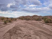 Off Road Adventure: Exploring California's Mountain Terrain