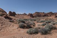 a desert area in an open area surrounded by rocks and bushes with sparse shrubs in the foreground