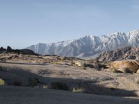 Off-Road Path Through Alabama Hills, California