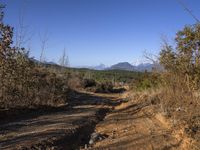 Off Road Path in Shangri-La, China