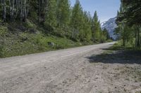 Off-Road Path in Telluride, Colorado - 001