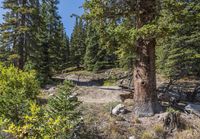 Off-Road Profile: Rugged Mountain Terrain