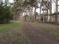 Off-Road Recreational Track under Clear Sky