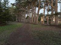 Off-Road Recreational Track under Clear Skies