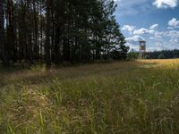 Off-Road Track in Berlin, Germany