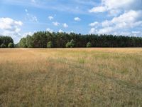 Off-Road Track in Berlin: Open Fields and Forests