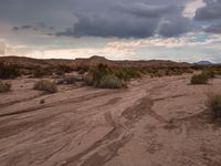 Off-Road Track in California's Desert Landscape