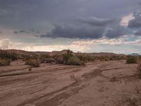 Off-Road Track in California's Desert Landscape