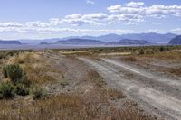 a dirt road runs through an empty field near a mountain range in the distance, surrounded by brush and grass