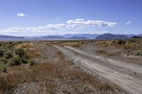 a dirt road runs through an empty field near a mountain range in the distance, surrounded by brush and grass