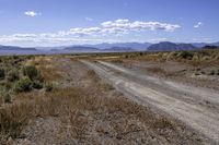 a dirt road runs through an empty field near a mountain range in the distance, surrounded by brush and grass