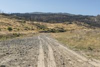 dirt road with two tracks in the middle and hills behind it on the left side