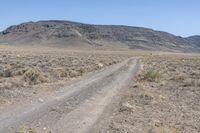 Off-Road Track in Colorado Desert Landscape 001