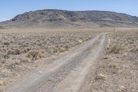 Off-Road Track in Colorado Desert Landscape 002