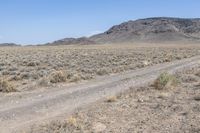 Off-Road Track through Colorado Desert Rocky Landscape