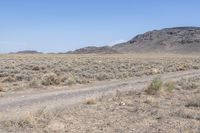 Off-Road Track through Colorado Desert Rocky Landscape