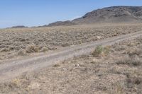 Off-Road Track through Colorado Desert Rocky Landscape