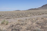 Off-Road Track in Colorado Desert: Rocky Landscape 004