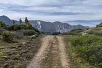 Off-Road Track in Colorado: Exploring the Beautiful Landscape