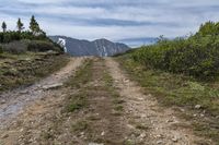 Off-Road Track in Colorado: Exploring the Beautiful Landscape