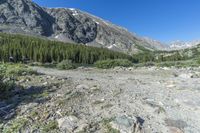 the dirt area is filled with boulders and bushes next to a rocky mountain range and green grass