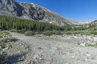 the dirt area is filled with boulders and bushes next to a rocky mountain range and green grass