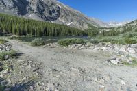 the dirt area is filled with boulders and bushes next to a rocky mountain range and green grass