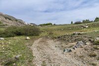 an image of trail to a mountain top area near trees and bushes with snow capped mountains