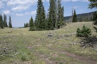 Off-Road Track in Colorado: Embracing Nature's Beauty