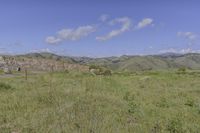 an open field with mountains and sparse grass in the background in an area with green hills
