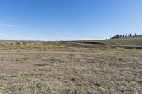 an area with dirt, rocks and yellow flowers and an area with brown grass and small bushes