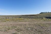 an area with dirt, rocks and yellow flowers and an area with brown grass and small bushes